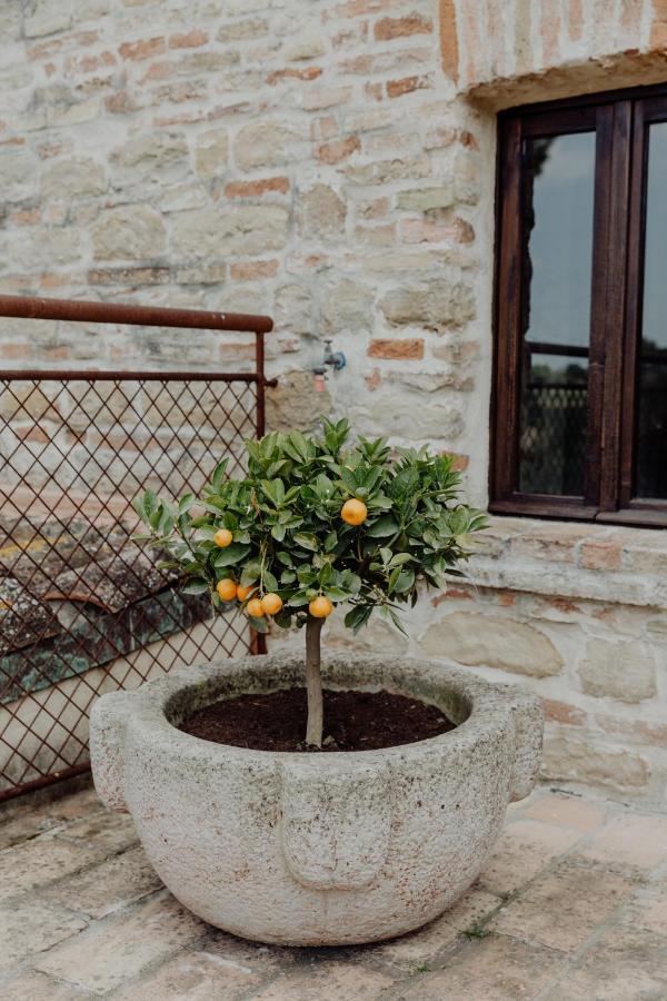 Agriturismo Qui Voglio Monte Roberto Экстерьер фото